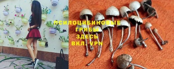 марихуана Алексеевка